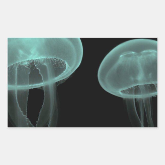 jellyfish fish custom personalise Anniversaries Rectangular Sticker (Front)