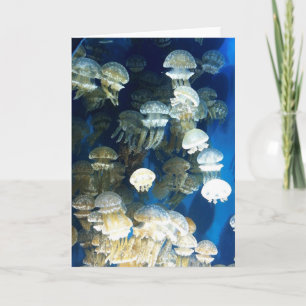 Jellyfish greeting card