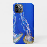 jellyfish in blue water