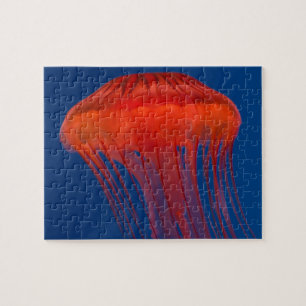 Jellyfish Jigsaw Puzzle