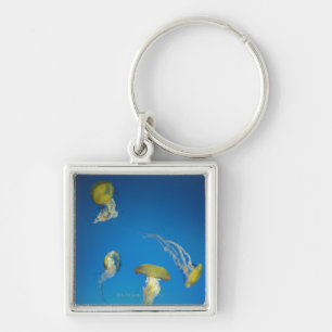Jellyfish Key Ring