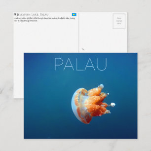 Jellyfish Lake, Palau Travel Postcard