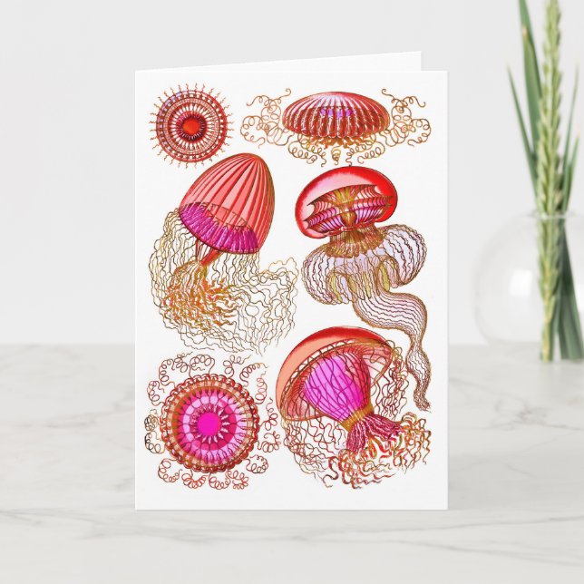 Jellyfish Leptomedusae in Bright Pink Card (Front)