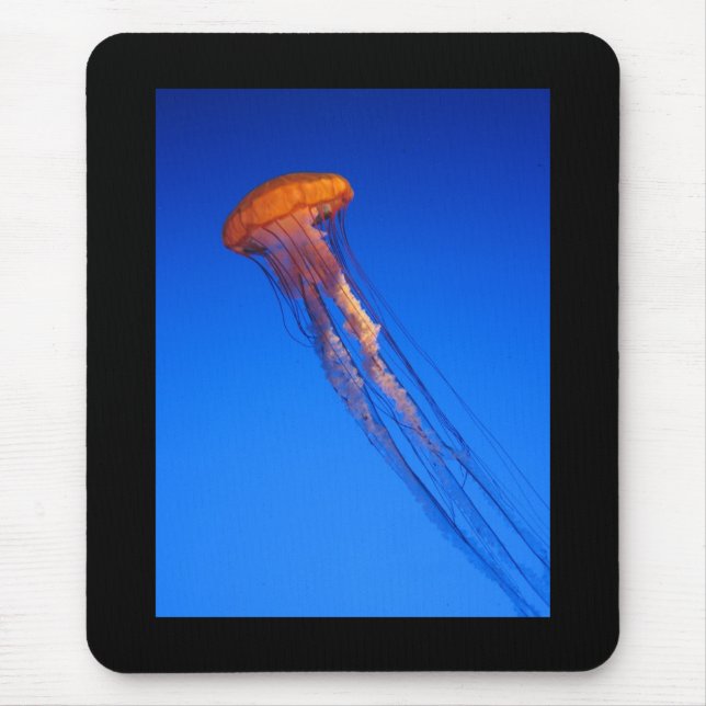 Jellyfish Mouse Pad (Front)