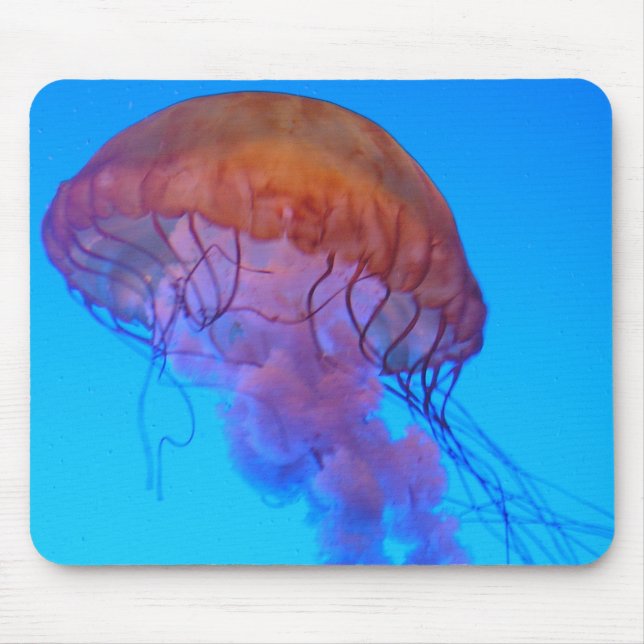 Jellyfish Mouse Pad (Front)