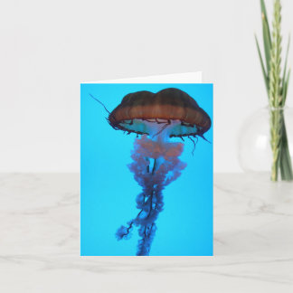 Jellyfish Notecard