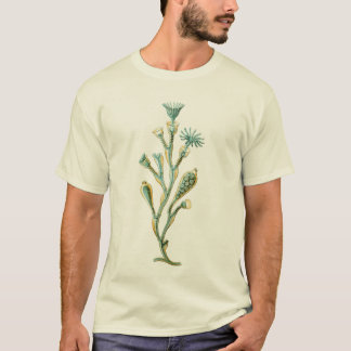 Jellyfish - Obelia geniculata T-Shirt