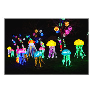 Jellyfish of Lights Photo Print