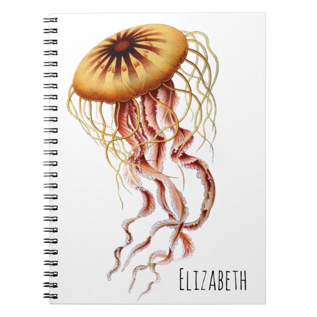 Jellyfish Personalized Notebook (Front)