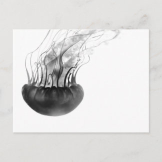 Jellyfish Postcard (Black and White)