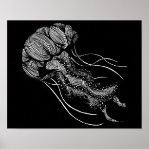 Jellyfish Poster
