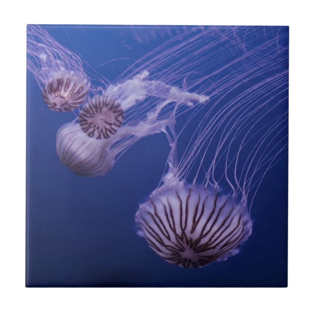 Jellyfish purple and blue ceramic tile (Front)