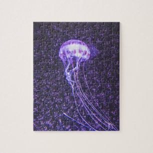 Jellyfish Puzzle