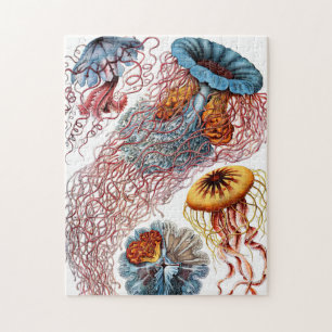 Jellyfish (Scheibenquallen) by Ernst Haeckel Jigsaw Puzzle