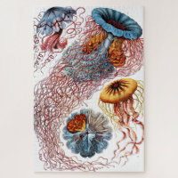 Jellyfish (Scheibenquallen) by Ernst Haeckel