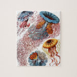 Jellyfish (Scheibenquallen) by Ernst Haeckel Jigsaw Puzzle<br><div class="desc">Please visit my store for more interesting design and more colour choice.
=> zazzle.com/colorfulworld*</div>