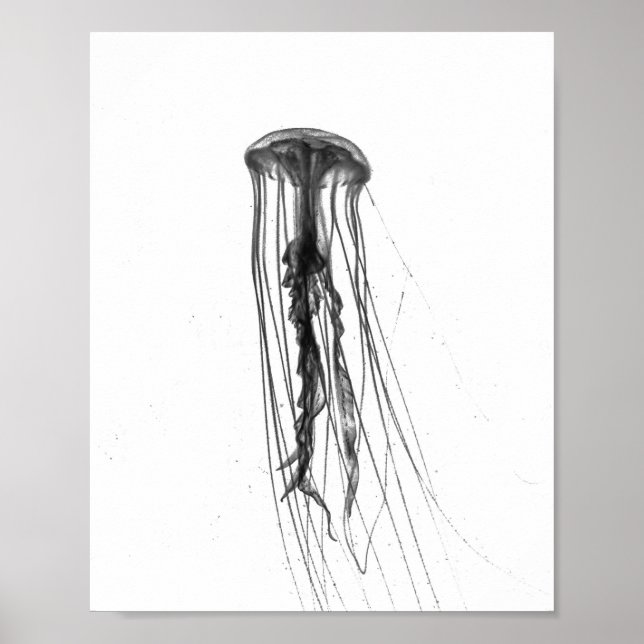 Jellyfish Silhouette | Poster (Front)