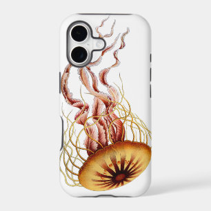 Jellyfish. Simple. Classic. Cool.