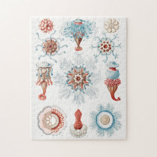 Jellyfish, Siphonophorae Staatsquallen Marine Life Jigsaw Puzzle