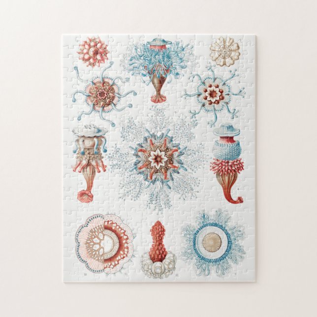 Jellyfish, Siphonophorae Staatsquallen Marine Life Jigsaw Puzzle (Vertical)