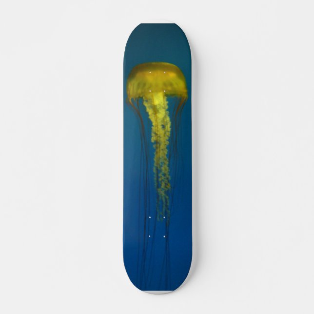 Jellyfish Skateboard (Front)