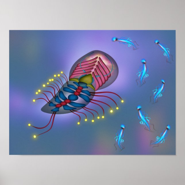 Jellyfish swimming with friends poster (Front)