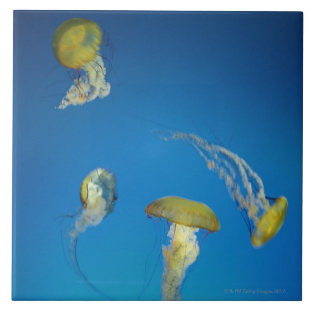 Jellyfish Tile (Front)
