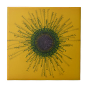 Jellyfish Tile