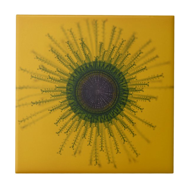 Jellyfish Tile (Front)