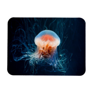 Jellyfish Underwater - Dark Glow Magnet