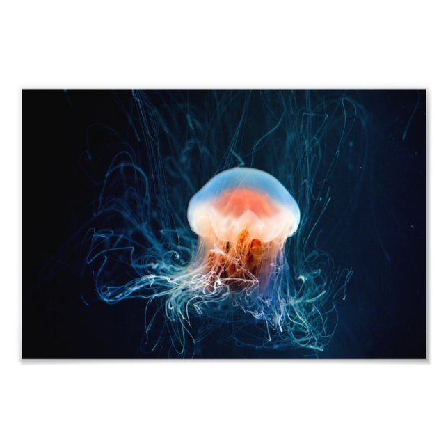 Jellyfish Underwater - Dark Glow Photo Print (Front)