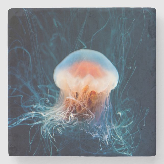 Jellyfish Underwater - Dark Glow Stone Coaster (Front)