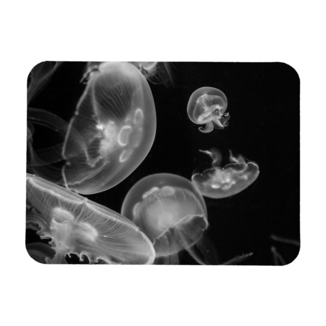 Jellyfish Underwater Magnet (Horizontal)