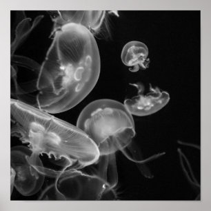 Jellyfish Underwater Poster