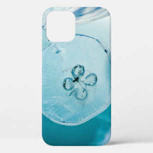 JELLYFISHES UNDERWATER iPhone 12 CASE