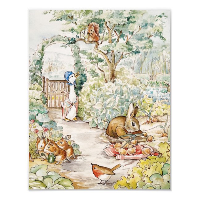 Jemima Puddle Duck in Mr Mc Gregor's Garden Photo Print (Front)