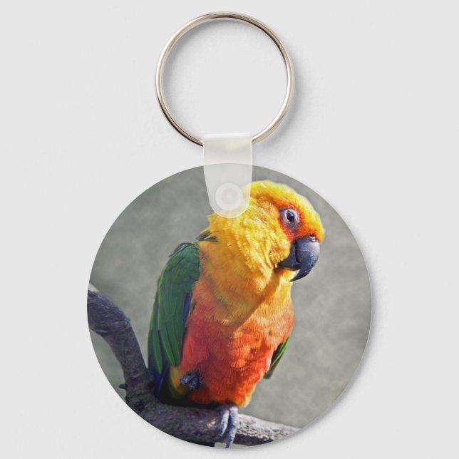 Jenday Conure Keyring (Front)