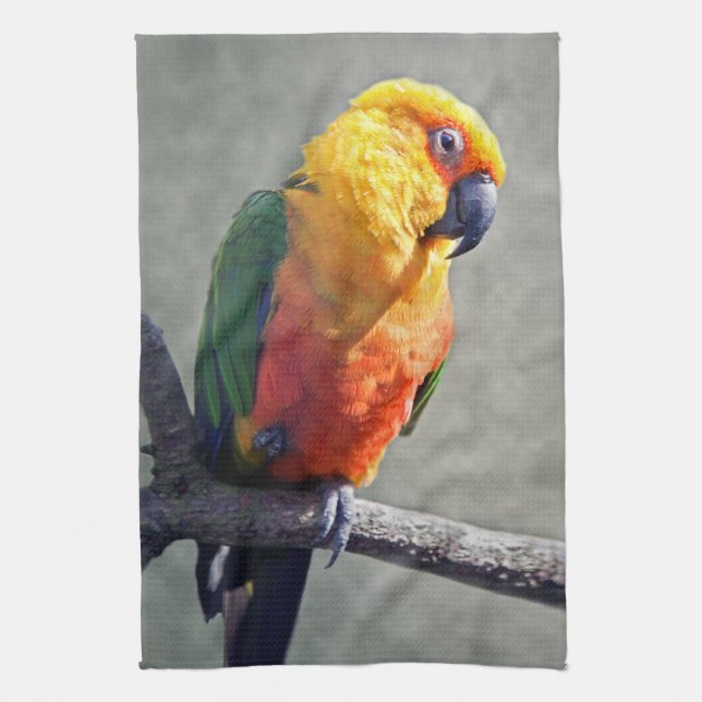 Jenday Conure Kitchen Towel (Vertical)