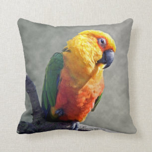 Jenday Conure Pillow