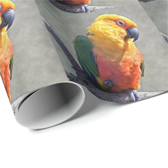 Jenday Conure Wrapping Paper (Roll Corner)