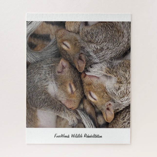 Jennifer, Sylvie and Holly Puzzle (Vertical)