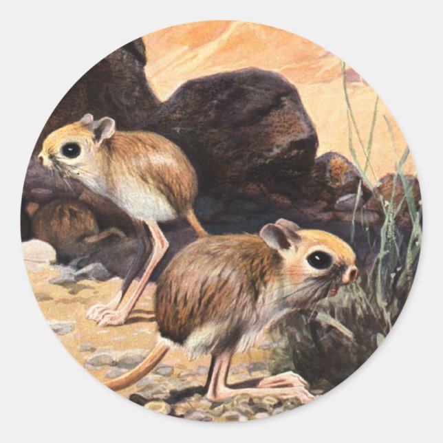 Jerboa Tees and Gifts Classic Round Sticker (Front)