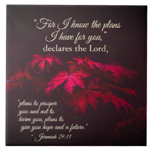Jeremiah 29:11 For I know the plans I have for you Ceramic Tile