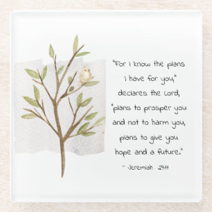 Jeremiah 29:11 For I know the plans I have for you Glass Coaster