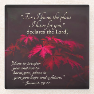 Jeremiah 29:11 For I know the plans I have for you Glass Coaster