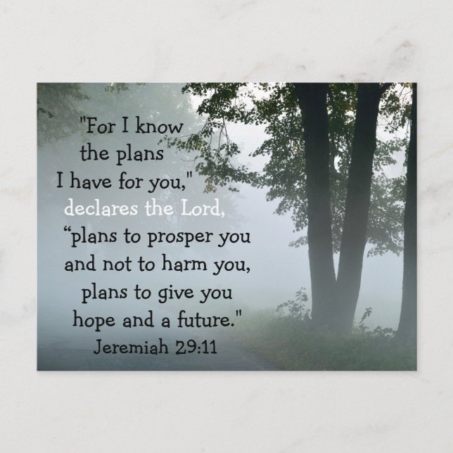 Jeremiah 29:11 For I know the plans I have for you Postcard (Front)