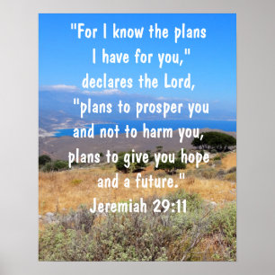 Jeremiah 29:11 God's Plans Bible Verse Vibrant Poster