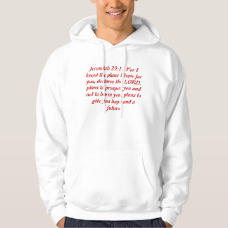 Jeremiah 29:11 hoodie