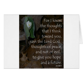 Jeremiah 29:11 hope for the future