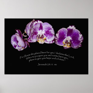 Jeremiah 29:11 poster